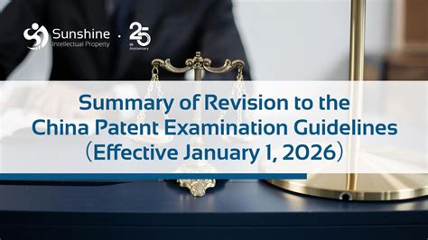chinese patent examination guidelines Kindle Editon
