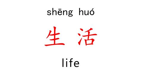 chinese writing life