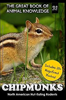 chipmunks american nut eating rodents knowledge Reader