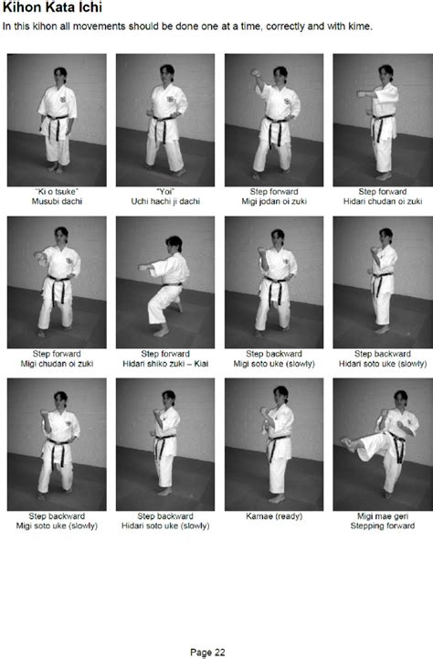 chito ryu karate manual Doc