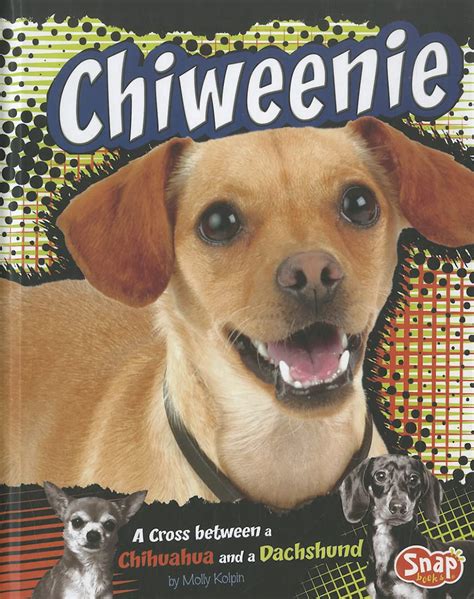 chiweenie designer dogs molly kolpin ebook Kindle Editon