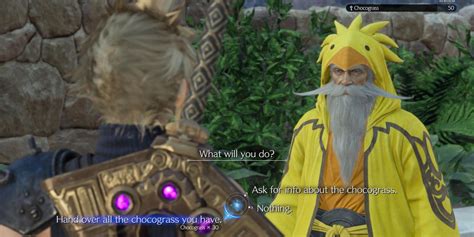 chocobo sage dialogue options