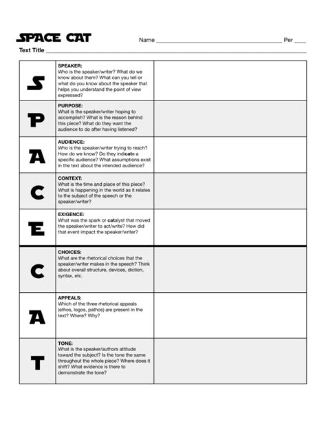 choices in space cat