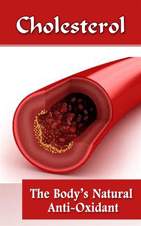 cholesterol bodys natural anti oxidant introduction Doc