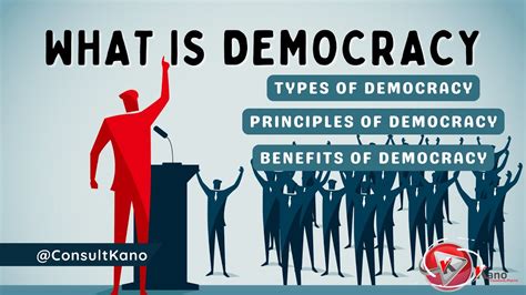 choose the three scenarios that correctly identify a representative democracy.