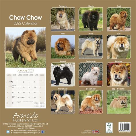 chow chows calendar multilingual edition Kindle Editon