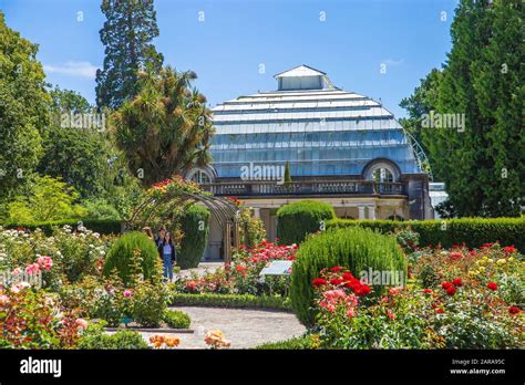 christchurch new zealand botanical gardens