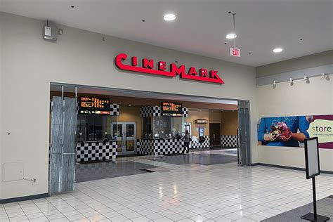 cinemark movies 10 bradley il