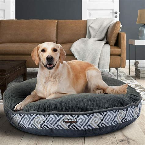 circular dog beds large