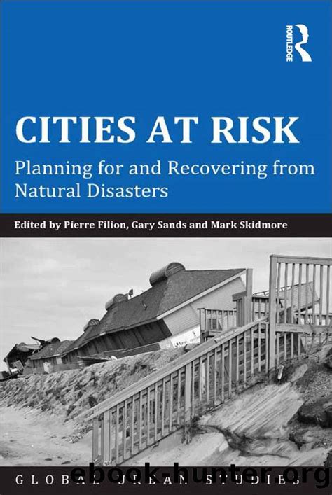 cities risk planning recovering disasters Doc