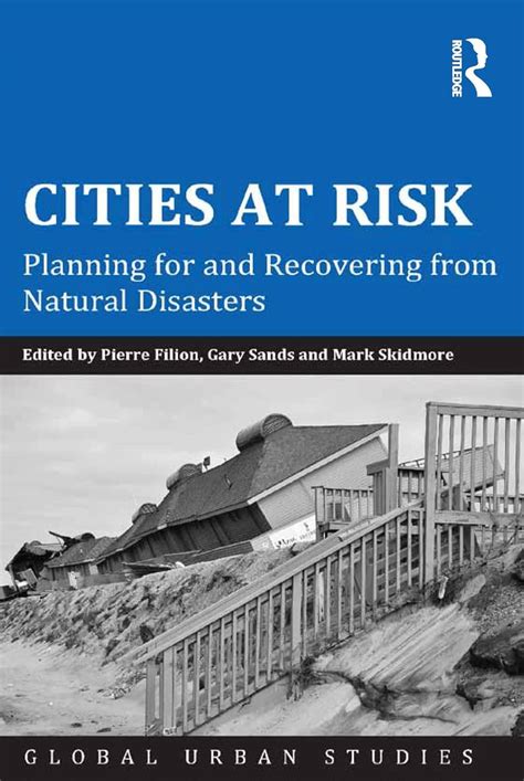 cities risk planning recovering disasters Doc