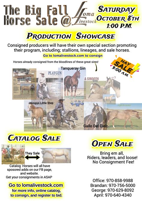 city catalog horse promotion Doc