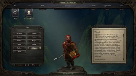 classes pillars of eternity