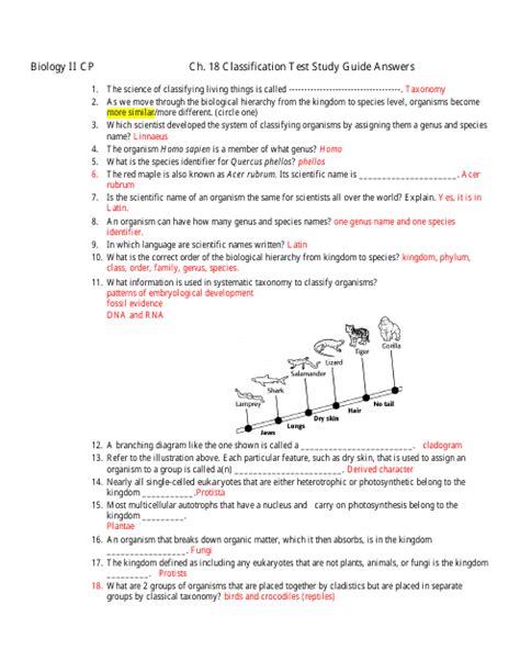 classification answer key biology Doc