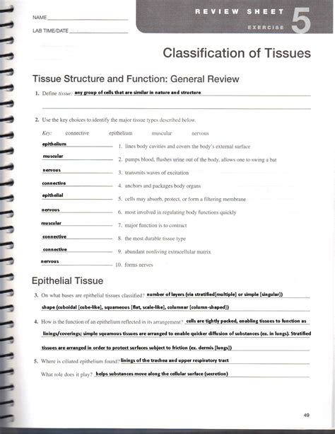 classification of tissue review sheet PDF