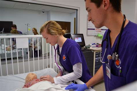 clemson nursing program