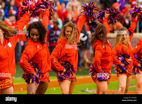 clemson rally cats