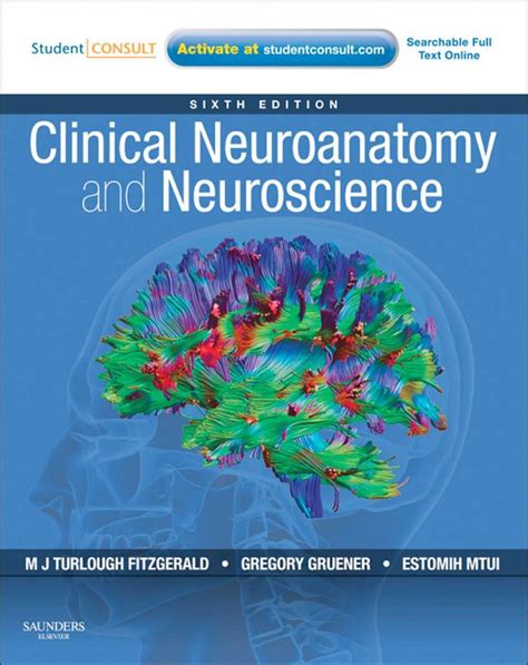 clinical neuroanatomy and neuroscience fitzgerald pdf download ? PDF