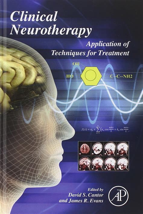 clinical neurotherapy application of techniques for treatment Epub