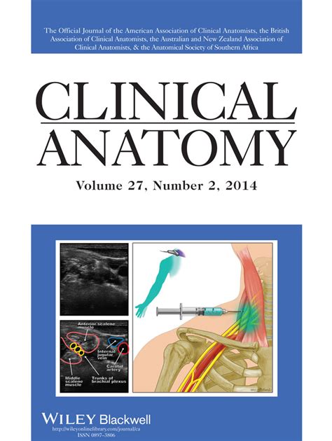 clinically oriented anatomy 7th edition Kindle Editon
