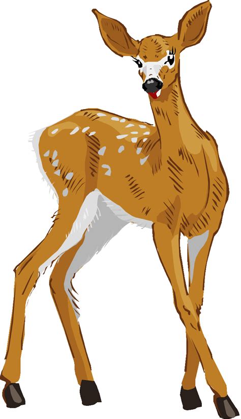 clip art for deer