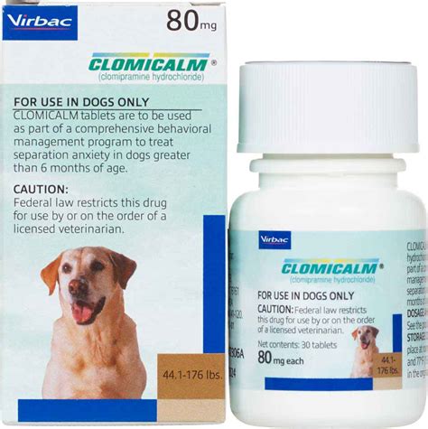 clomicalm for dogs