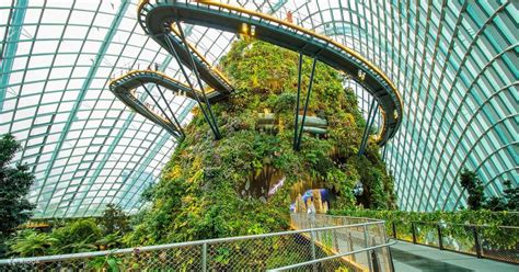 cloud forest and flower dome ticket