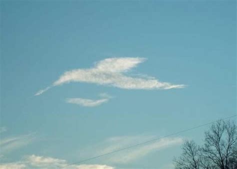 clouds that look like things from the cloud appreciation society Kindle Editon