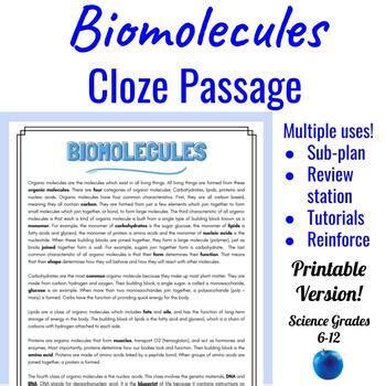 cloze paragraph for macromolecule Reader