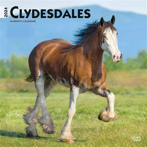 clydesdales calendar Doc