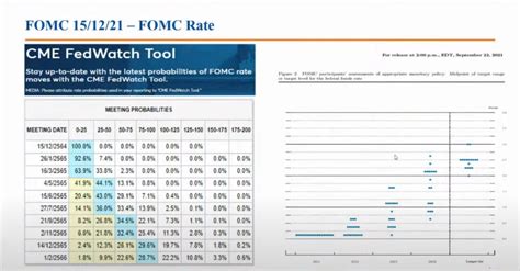 cme fed watch tool