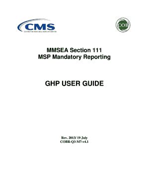 cms user guide msp PDF