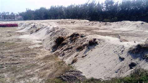 cncer de arena arroyos Reader