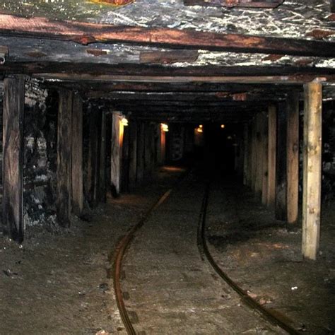 coal mining hunger games Kindle Editon