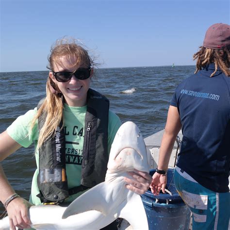 coastal carolina marine biology