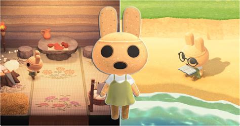 coco animal crossing