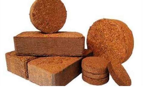 coco peat price