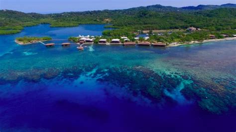 coco view resort roatan