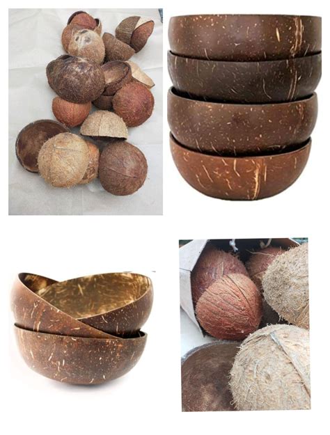 coconut shell