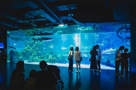 coex 水族館