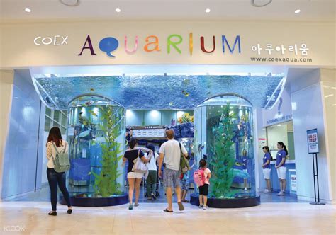 coex 水族館 門票