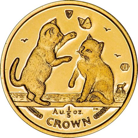 coin cat