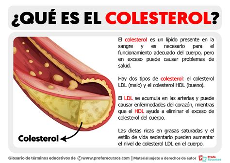 colesterol colesterol Doc