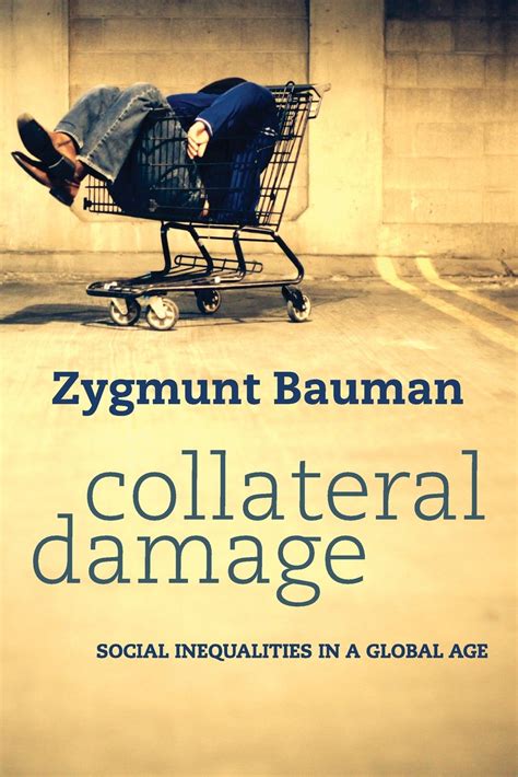 collateral damage social inequalities in a global age Doc