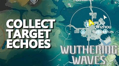 collect target echoes wuthering waves