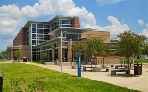 colleges in alexandria la