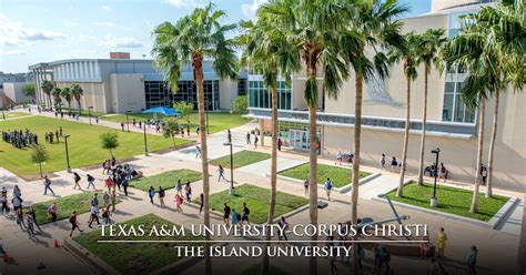 colleges in corpus christi texas