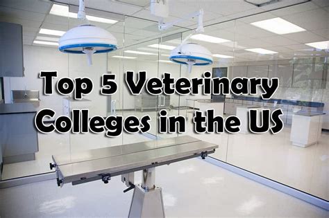 colleges in ga with good veterinary programs