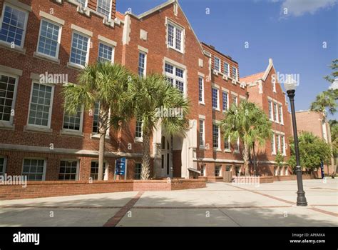 colleges in gainesville fl