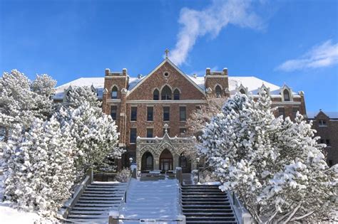 colleges in helena mt